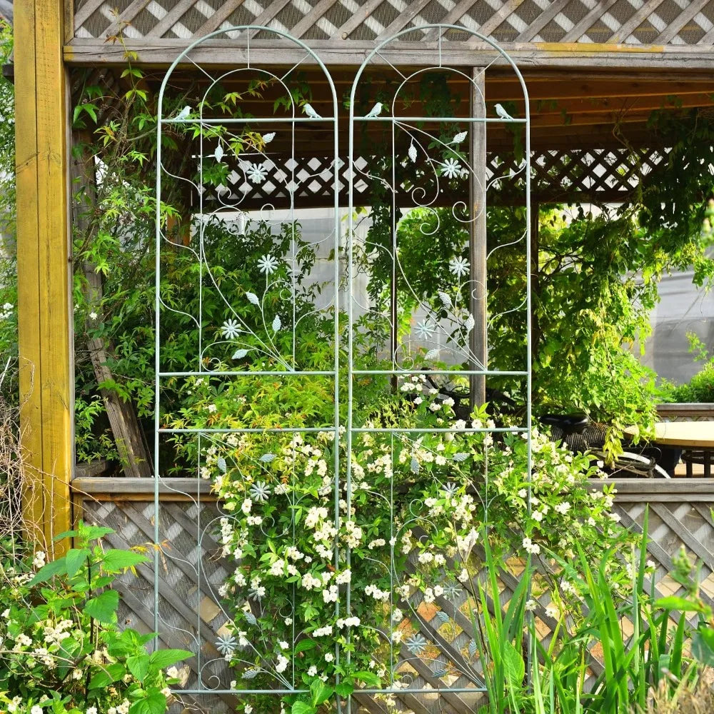 Large Metal Garden Trellises for Climbing Plants