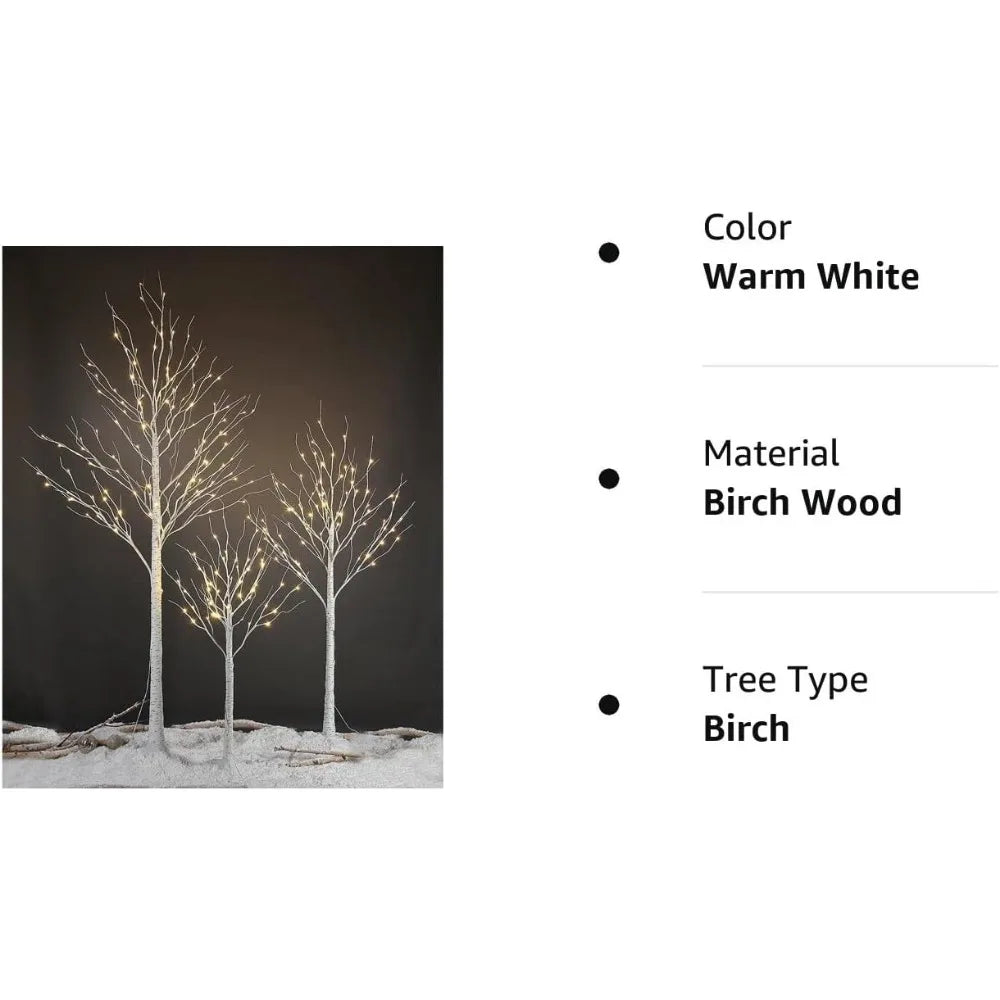 Birch Tree, for Home,Pack of 3