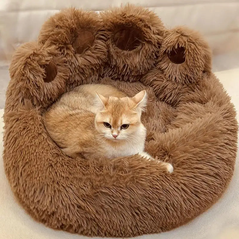 Calming Paw Shape Bed